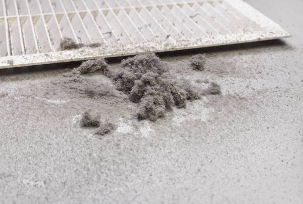 Best Home Air Vent Cleaning  in Cordova, AK