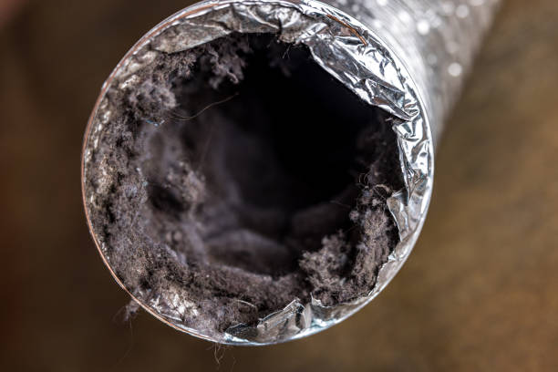 Best HVAC Duct Inspection Services  in Cordova, AK
